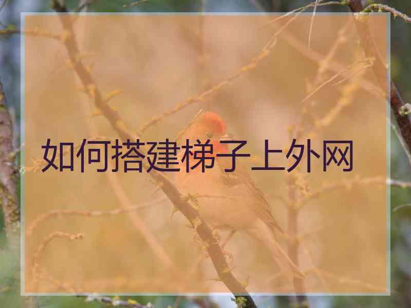 如何搭建梯子上外网