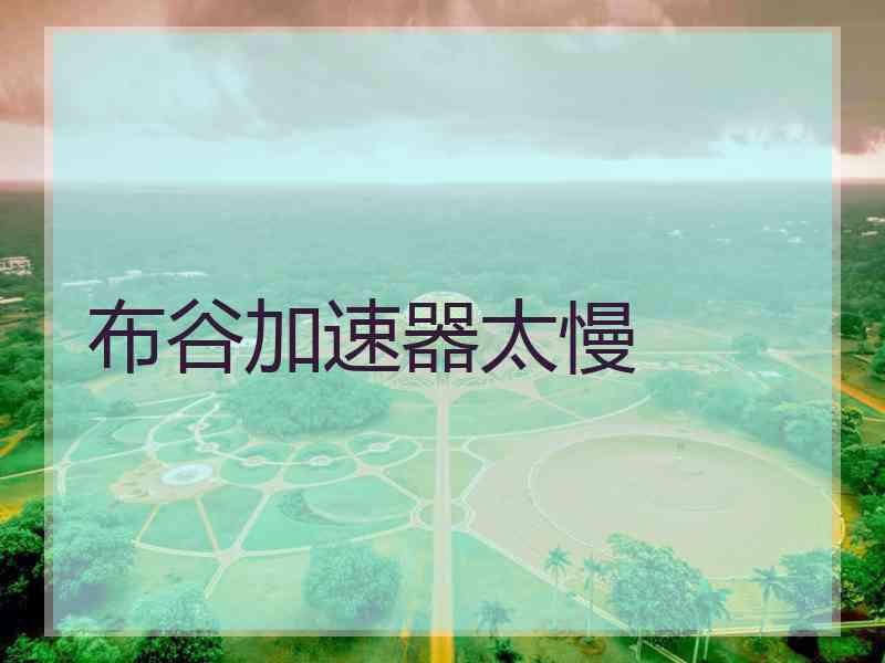 布谷加速器太慢