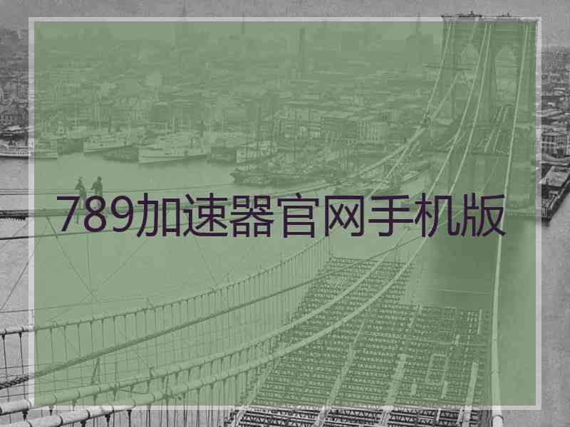 789加速器官网手机版