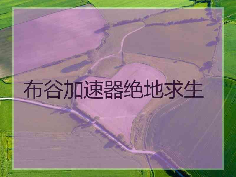 布谷加速器绝地求生