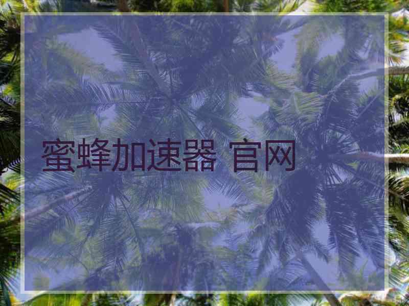 蜜蜂加速器 官网