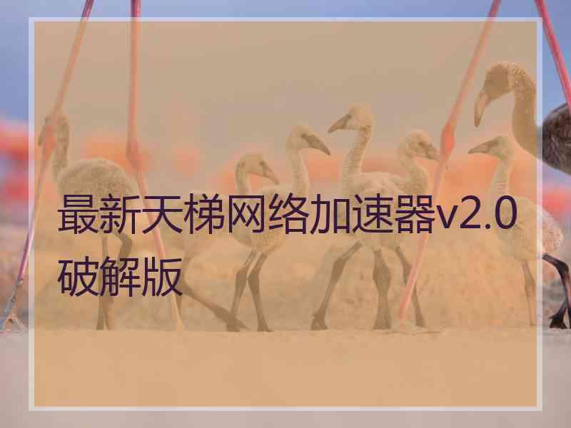 最新天梯网络加速器v2.0破解版