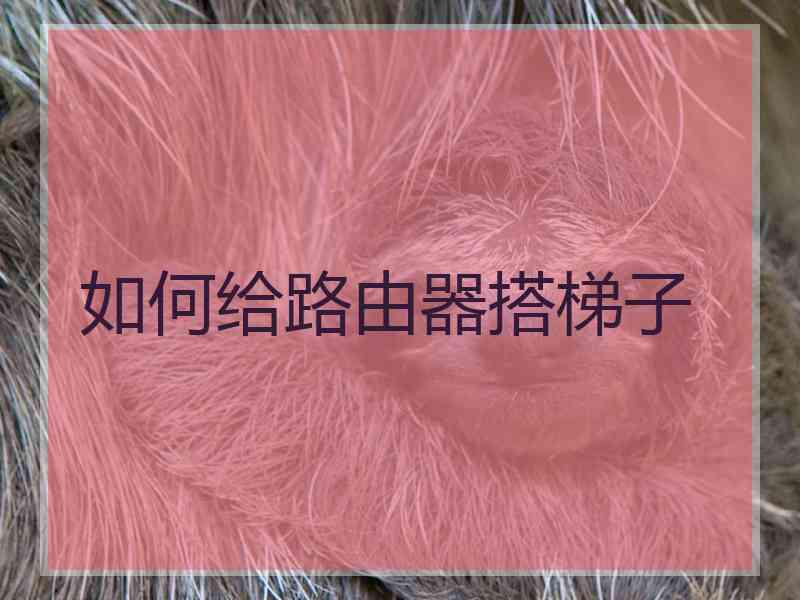 如何给路由器搭梯子