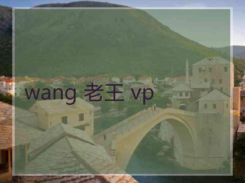 wang 老王 vp
