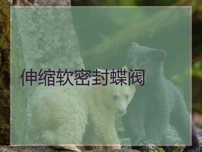 伸缩软密封蝶阀
