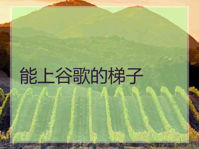 能上谷歌的梯子