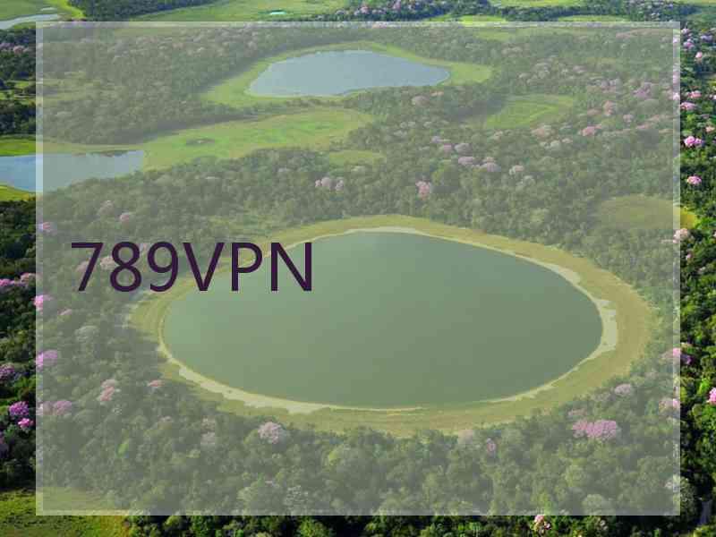 789VPN
