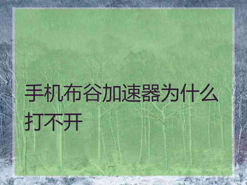 手机布谷加速器为什么打不开