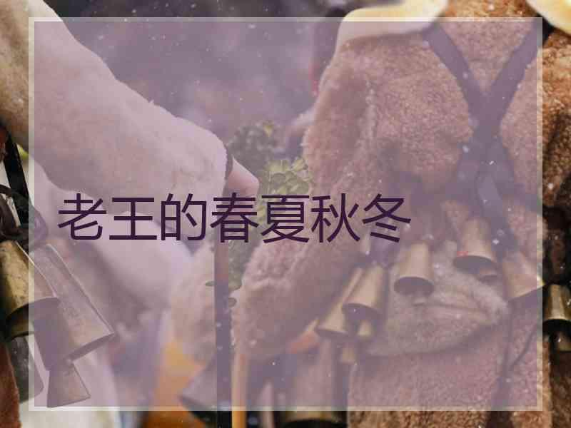 老王的春夏秋冬