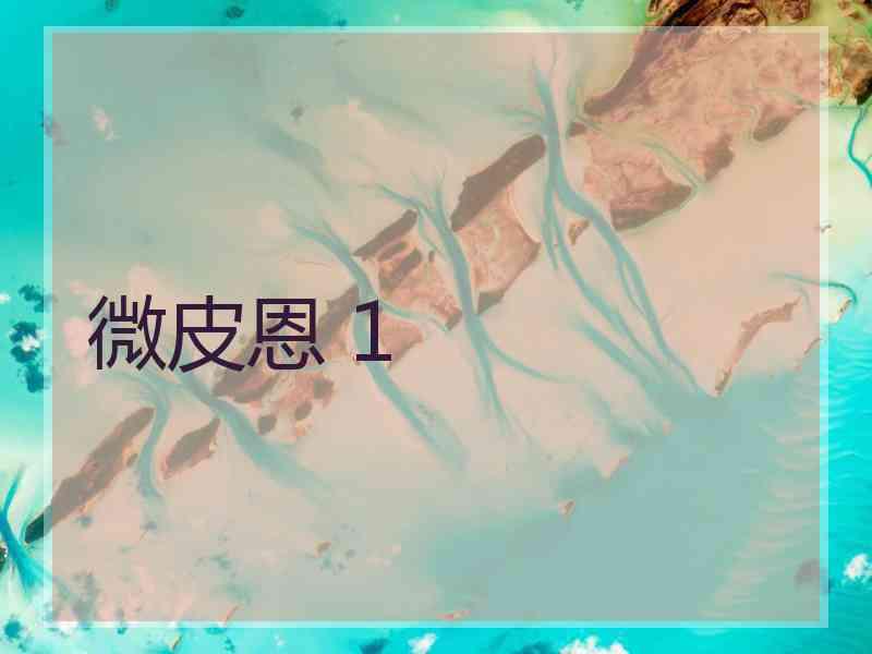 微皮恩 1