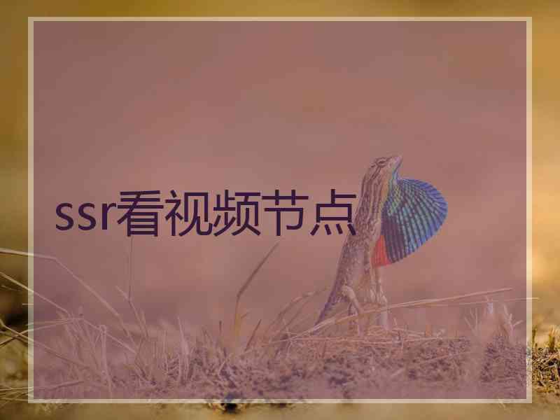 ssr看视频节点