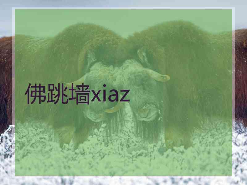 佛跳墙xiaz