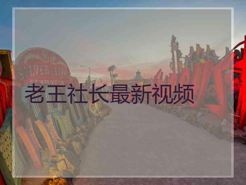 老王社长最新视频