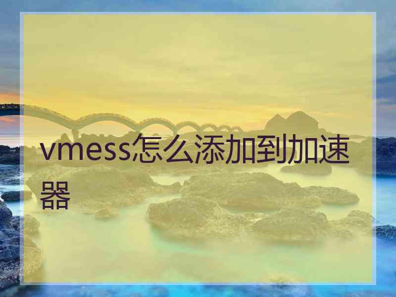 vmess怎么添加到加速器