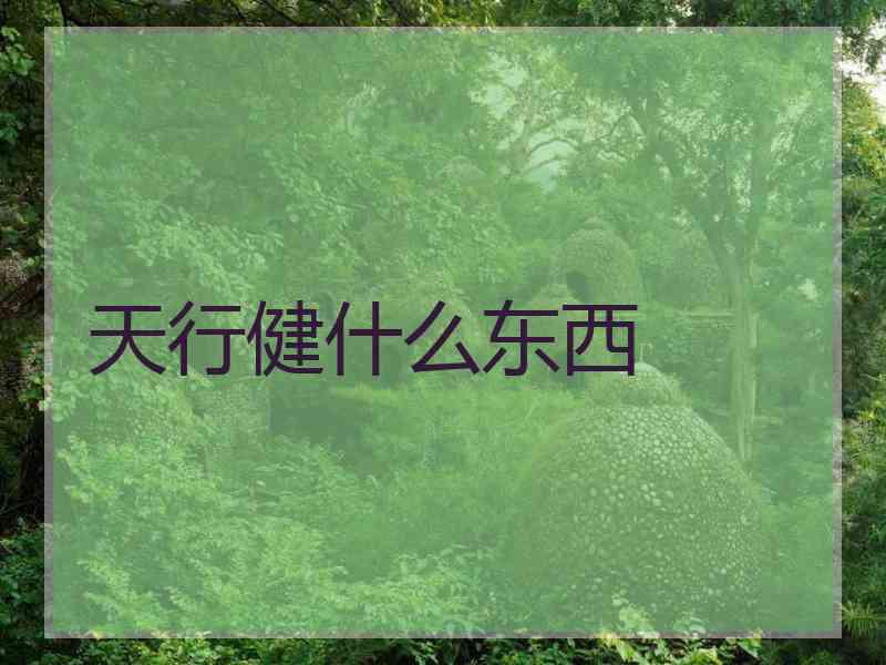 天行健什么东西