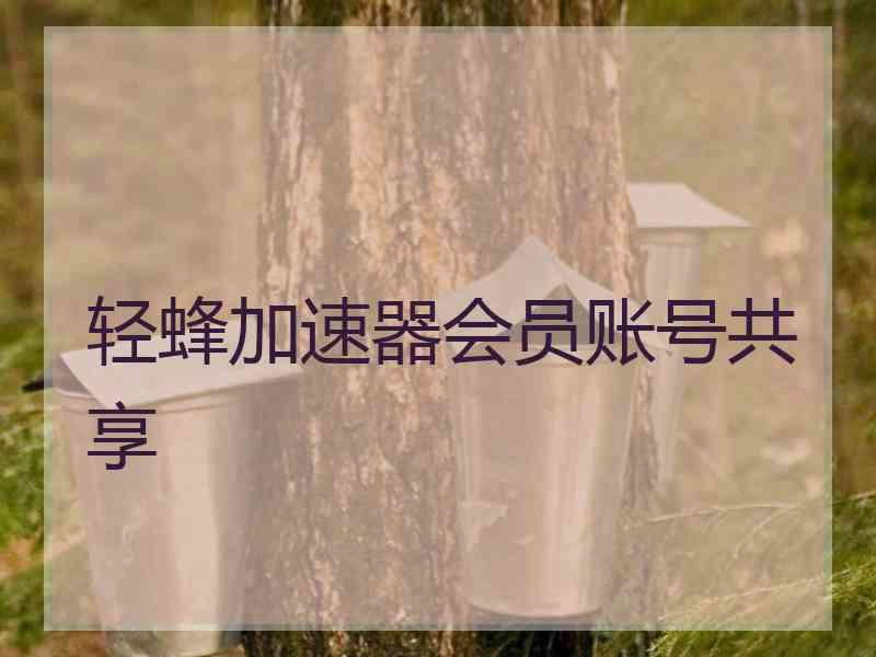 轻蜂加速器会员账号共享