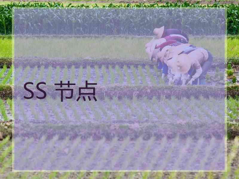 SS 节点