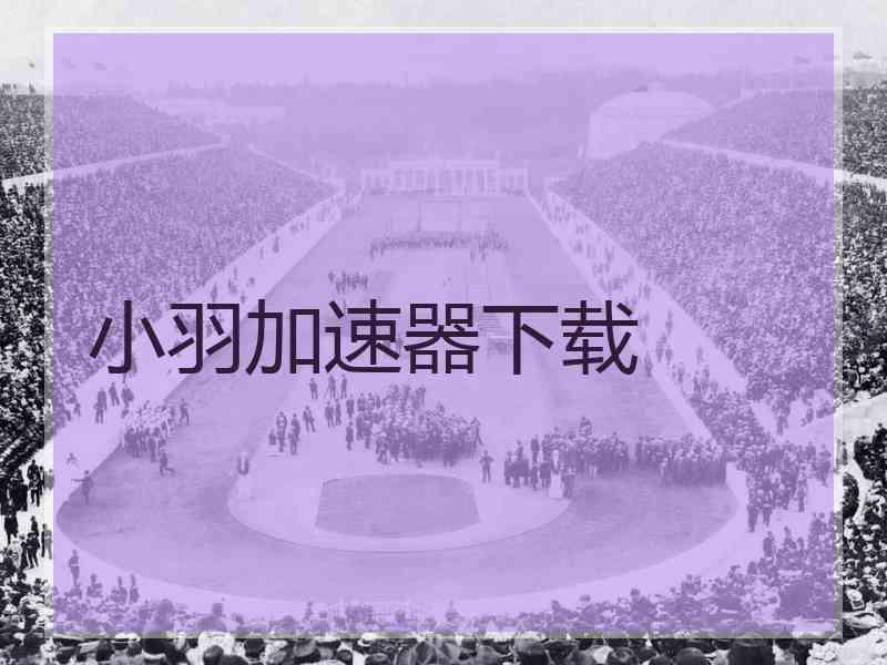 小羽加速器下载