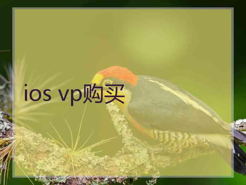 ios vp购买