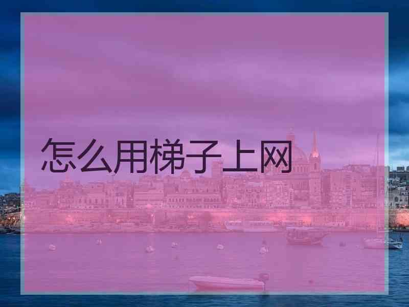 怎么用梯子上网