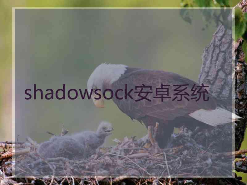 shadowsock安卓系统