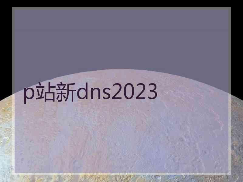 p站新dns2023