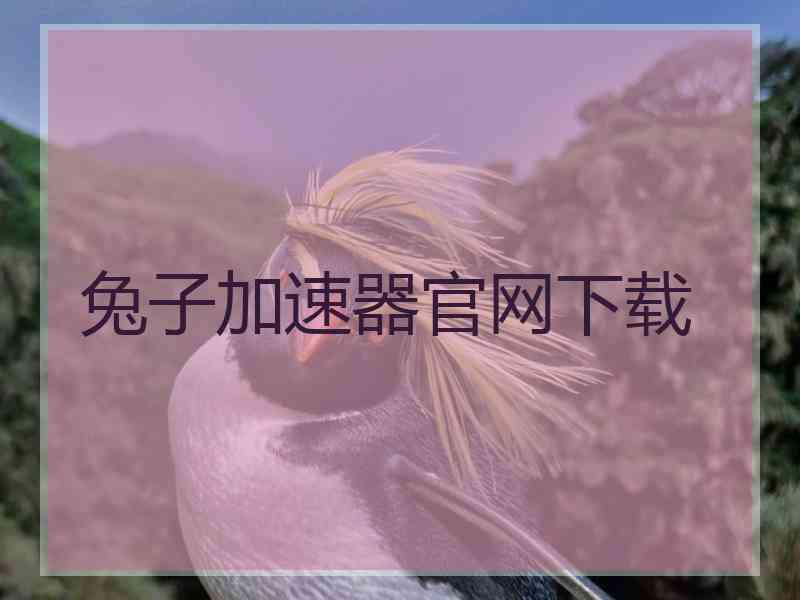 兔子加速器官网下载