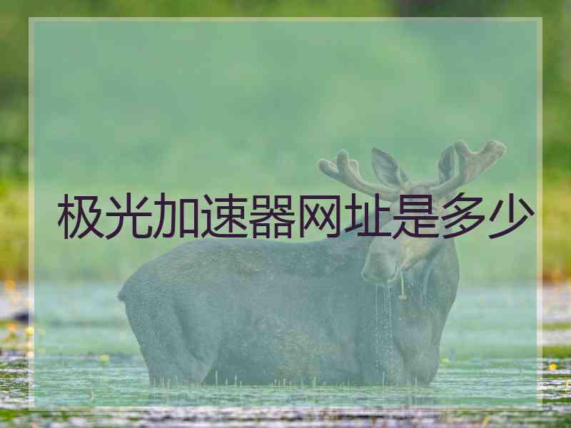 极光加速器网址是多少