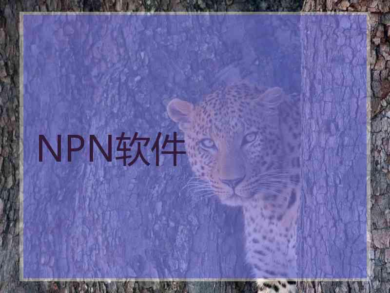 NPN软件