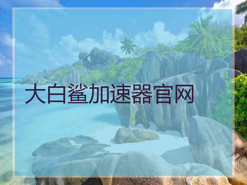 大白鲨加速器官网