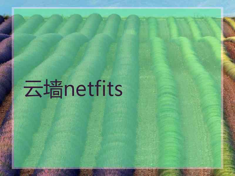 云墙netfits