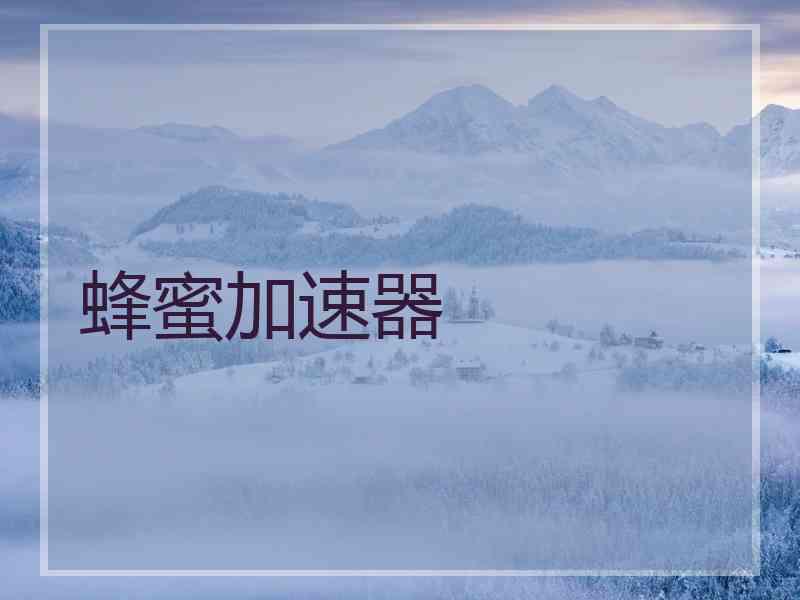 蜂蜜加速器