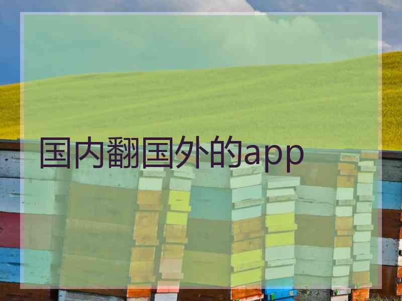 国内翻国外的app