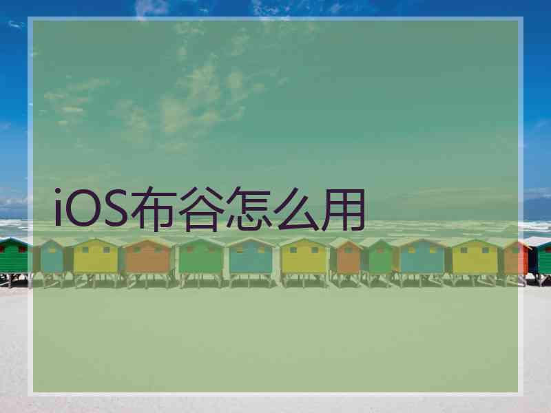 iOS布谷怎么用