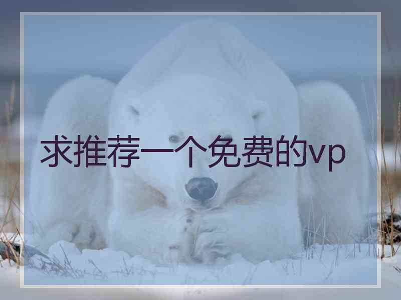 求推荐一个免费的vp