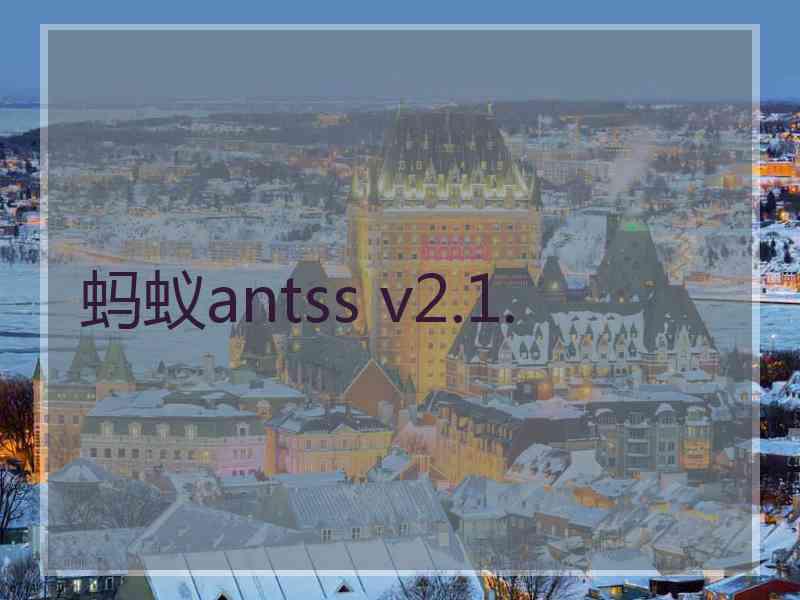 蚂蚁antss v2.1.