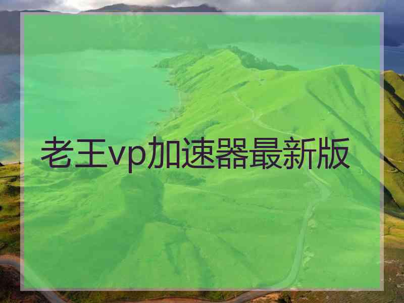 老王vp加速器最新版