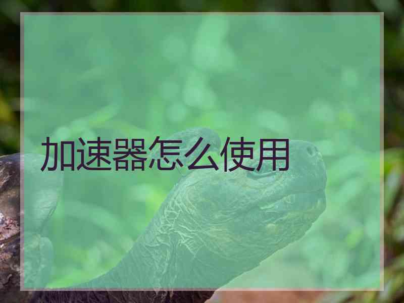 加速器怎么使用