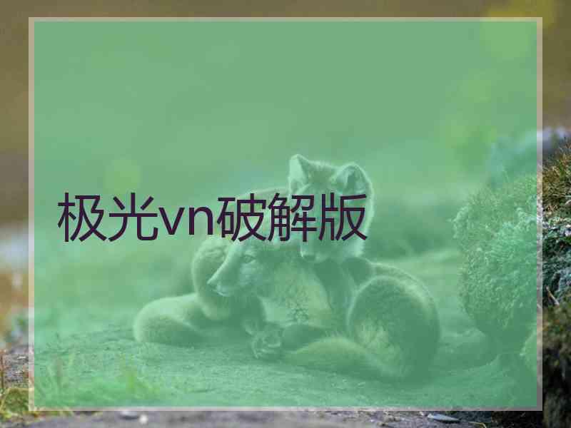 极光vn破解版