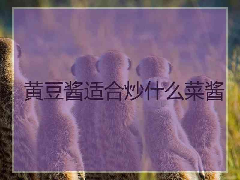 黄豆酱适合炒什么菜酱