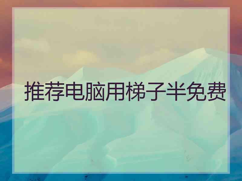 推荐电脑用梯子半免费
