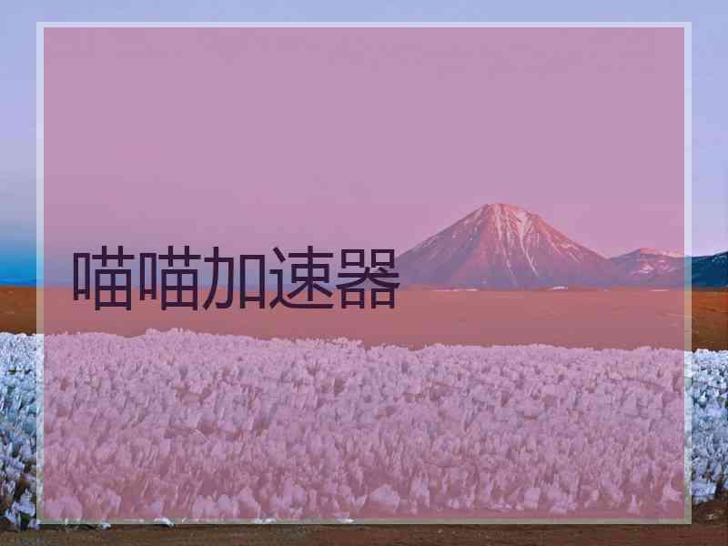 喵喵加速器