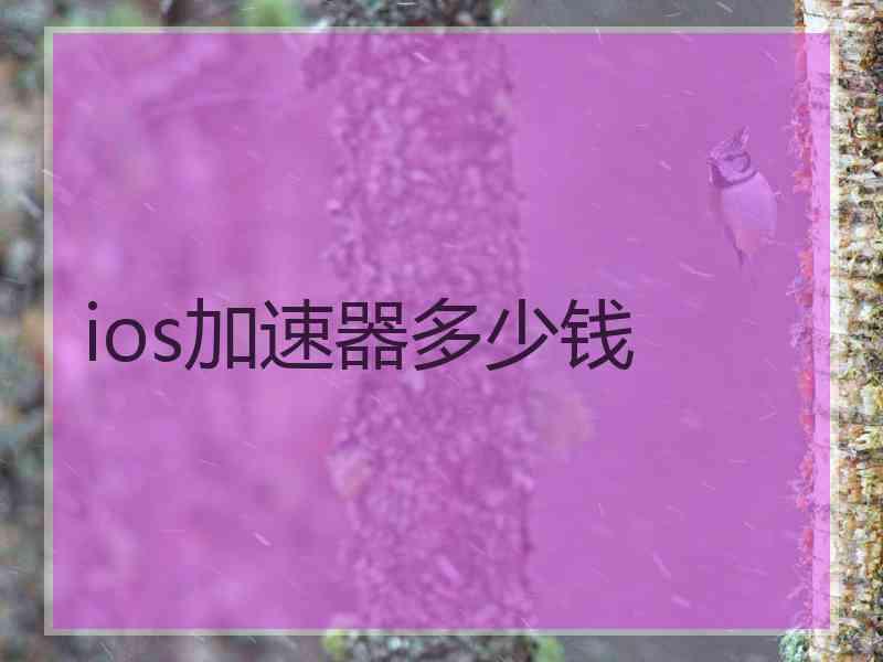 ios加速器多少钱
