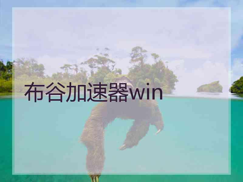 布谷加速器win