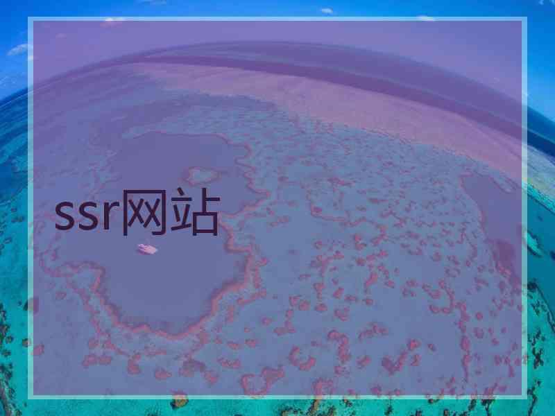 ssr网站