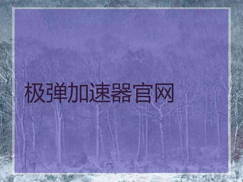 极弹加速器官网