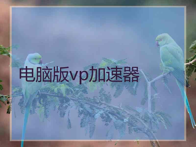 电脑版vp加速器