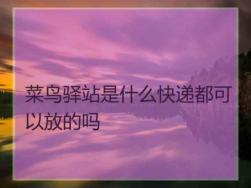 菜鸟驿站是什么快递都可以放的吗