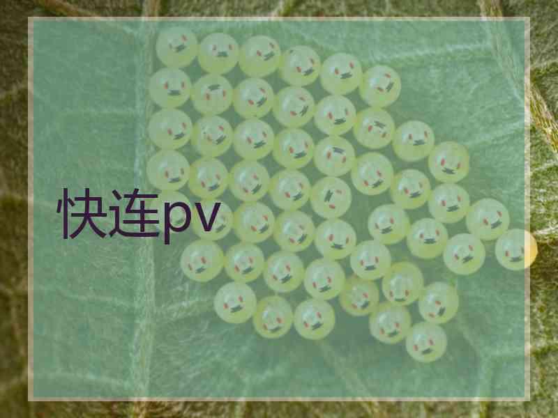快连pv