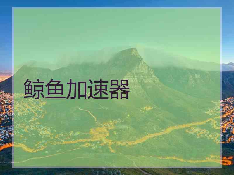 鲸鱼加速器